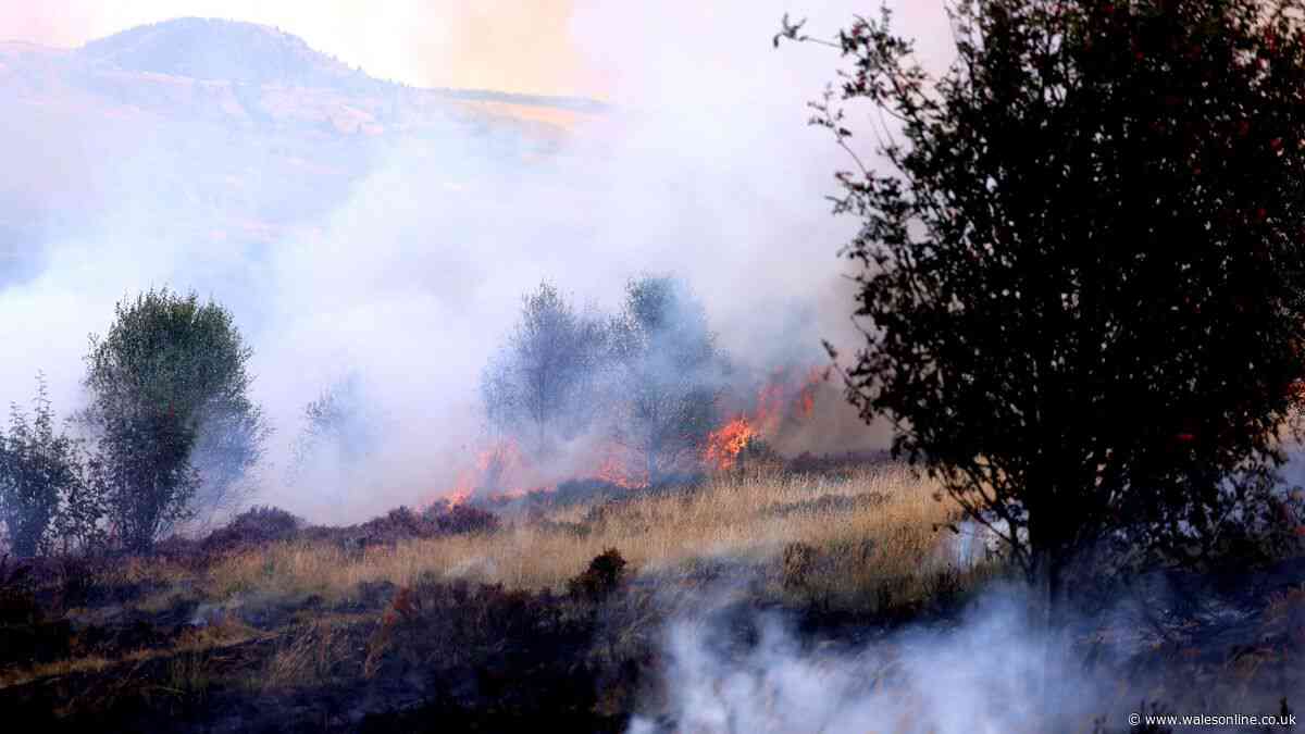 Four teenagers arrested as valley burns while military arrive in Wales to fight wildfires - live updates
