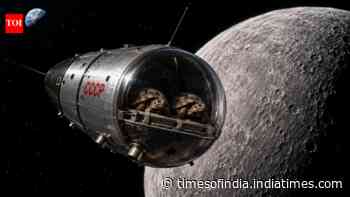 In 1968, two Soviet tortoises circled the Moon and returned alive before Apollo 8