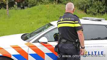 Vrouw met geweld beroofd in Valkenbergpark in Breda, politie zoekt 3 mannen