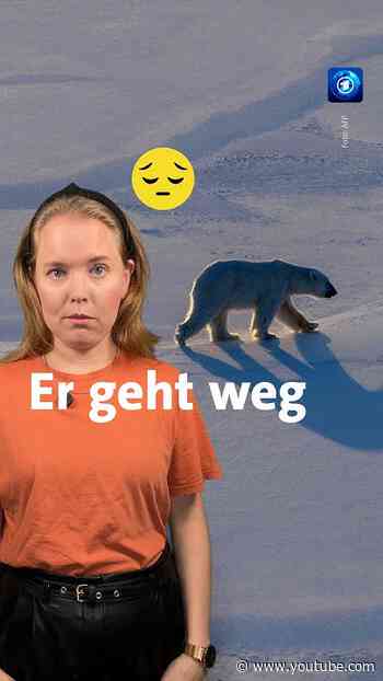 Das ist rausgekommen, weil andere an Bord die Aktion beim Gouverneur von Spitzbergen gemeldet haben.