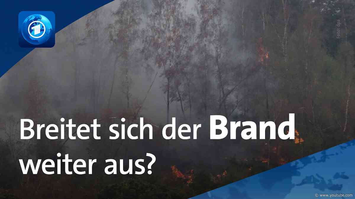 Regierung von NRW warnt Bevölkerung: „Gehen Sie nicht mehr in die Wälder“
