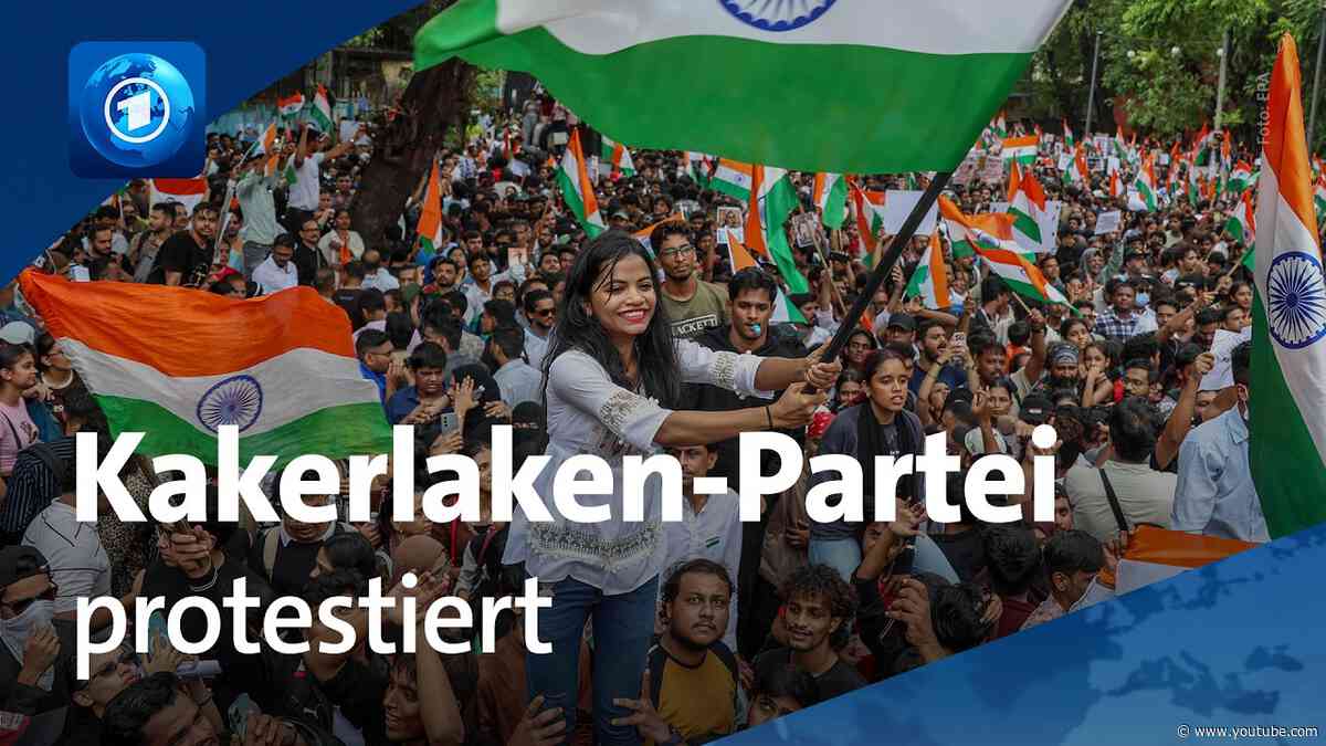 Indien: Proteste der Kakerlaken-Partei zwingen Bildungsminister zum Rücktritt