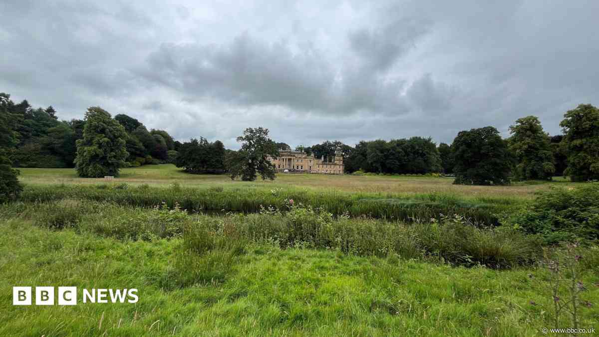 Rewilding project brings species back to estate