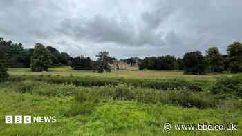 Rewilding project brings species back to estate