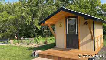 This Ontario farm uses bees for relaxation therapy. Is it a buzzkill for stress?
