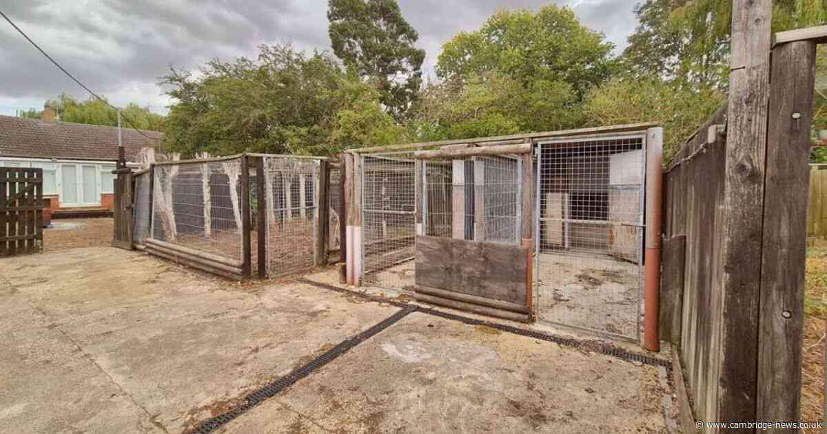 Former greyhound kennels and ‘unique’ bungalow on the market for £315k