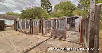 Former greyhound kennels and ‘unique’ bungalow on the market for £315k