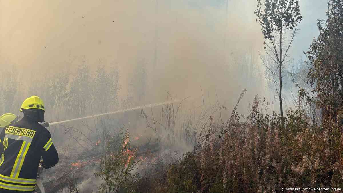 Waldbrand im Harz: Feuerwehr muss in Braunlage gegen die Flammen kämpfen