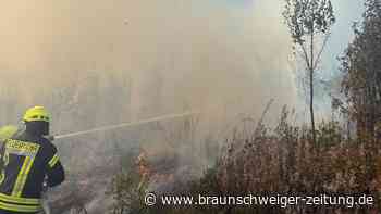 Waldbrand im Harz: Feuerwehr muss in Braunlage gegen die Flammen kämpfen