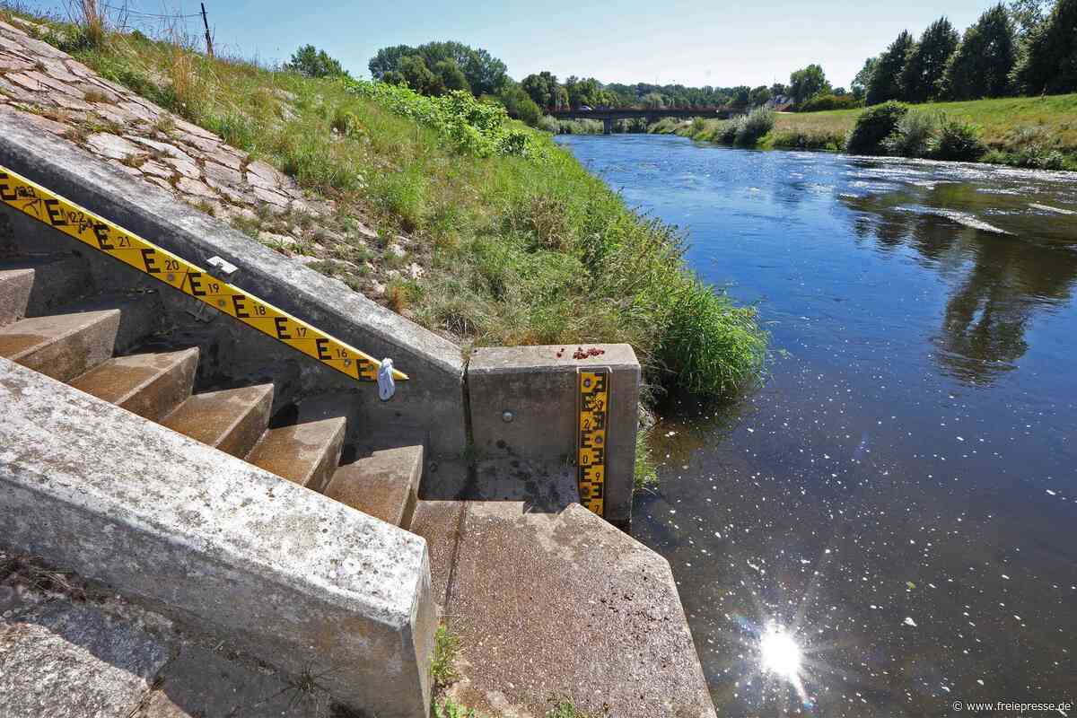 Niedrigwasser in Zwickauer Mulde: Angler bangen um Fische