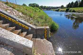 Niedrigwasser in Zwickauer Mulde: Angler bangen um Fische