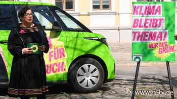 Landtagswahl in Sachsen-Anhalt: "Grüne sollten Menschen nicht erklären, wie man richtig lebt"