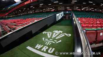 WRU calls extraordinary council meeting as season could be postponed
