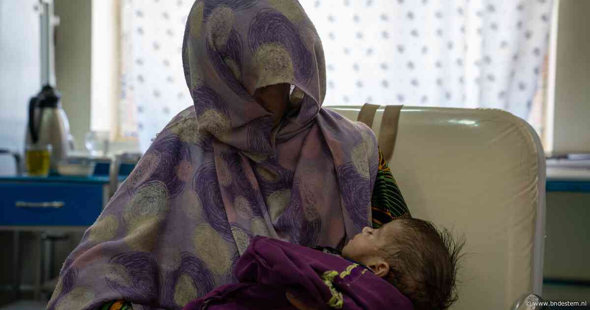 Vijf jaar taliban in Afghanistan: vrouwen staan buitenspel, maar er zijn ook lichtpuntjes