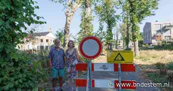 ‘Kappen met kappen’: buurt in Etten-Leur slaat alarm om 22 beschermde bomen die voor hun deur verdwijnen