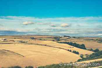 Government unveils £65m package for drought-hit farmers