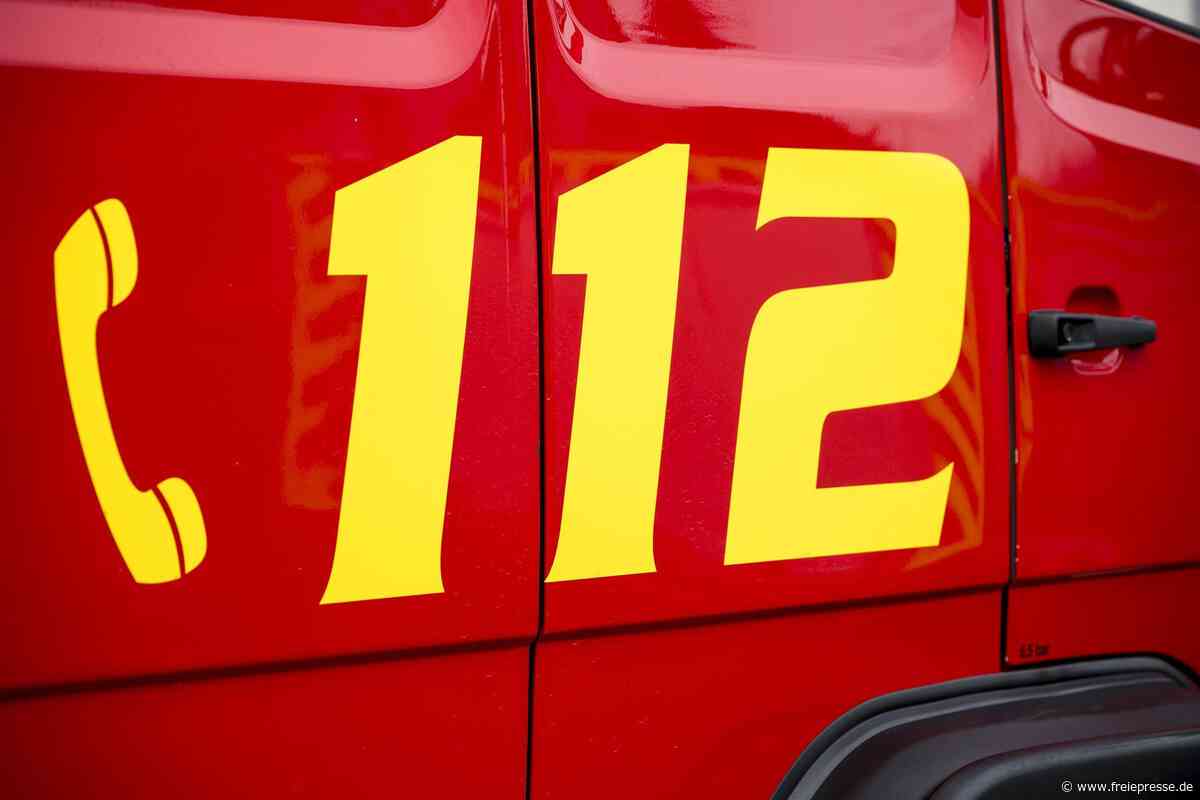 Zufall oder Brandstiftung? Weiterer Feldbrand nahe dem Schwarzen Holz in Plauen