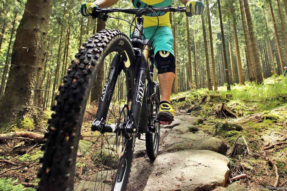 Tollkühne Mountainbiker in Schwarzenberg bald wieder auf Pokaljagd