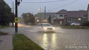 No storm infrastructure issues in St. Catharines before rainstorms led to floods, mayor and experts say