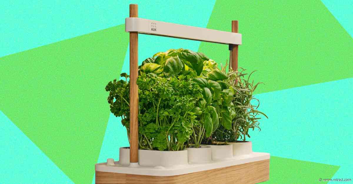 Auk Mini 2 Indoor Smart Garden Review: Better Where It Counts