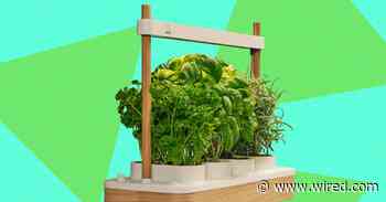 Auk Mini 2 Indoor Smart Garden Review: Better Where It Counts