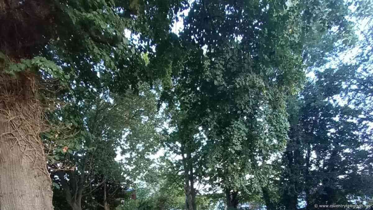 The Wyken 'pirate' grave and the Coventry ghost story that haunted kids