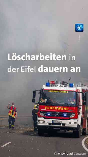 Kampf gegen Flammen in der Eifel #waldbrand #eifel #hürtgenwald #tagesschau #nachrichten
