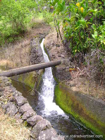 BLNR nixes long-term East Maui water license for Mahi Pono