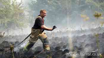 'I'm a firefighter and there's reason wildfires take weeks to get under control'