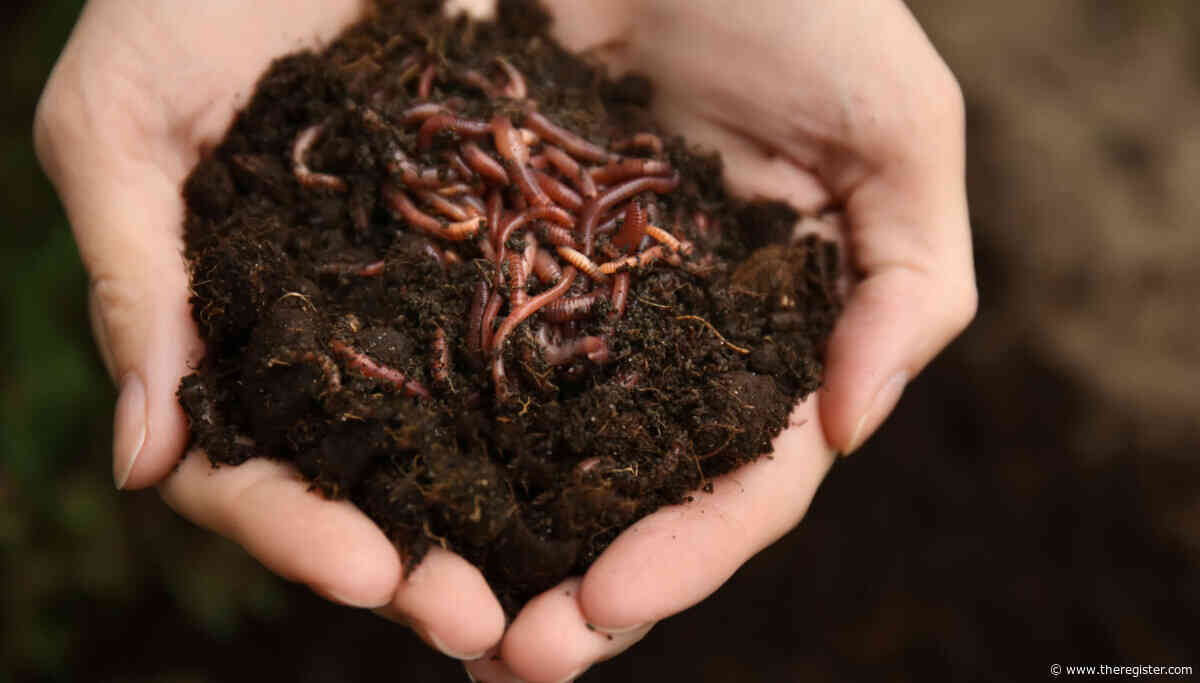 ChainDrop worm crawls into npm supply chain, evades standard defenses