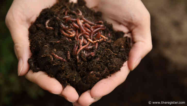ChainDrop worm crawls into npm supply chain, evades standard defenses