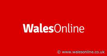 'Don't' plea from fire services after emergency alert triggers wave of 999 calls