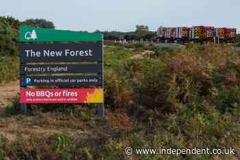 Wildfires prompt emergency alert as blaze in New Forest enters seventh day