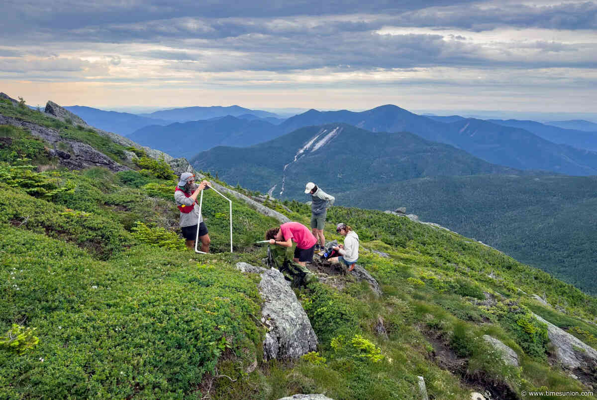 Northeast alpine research project comes to NY's tallest mountain