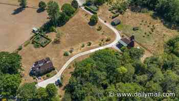 Paul McCartney lets it be! Ex-Beatle lets grass on his 160-acre Sussex estate turn yellow as he respects hosepipe ban