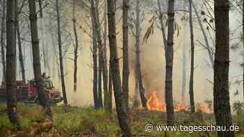 Waldbrände in Europa: Wo es gerade brennt
