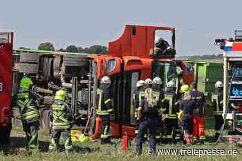 Außergewöhnlicher Einsatz für die Feuerwehren von Glauchau und Remse: Kuhmist-Laster kippt um