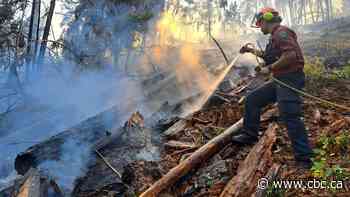 What you need to know about B.C. wildfires on Aug. 15