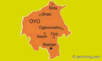 Police arrest 10 in Oyo, recover human body parts