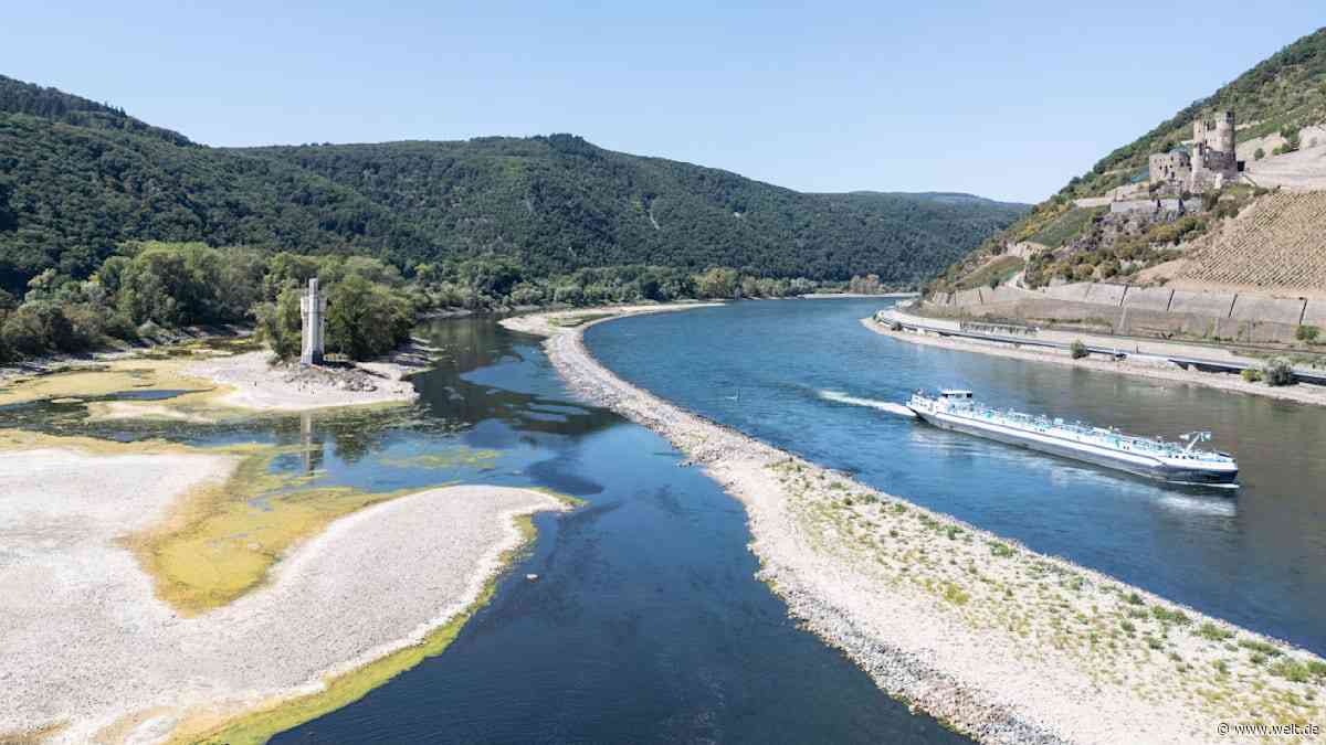 Dürre-Schock am Rhein – alte Gewissheiten für Autofahrer und Industrie kommen ins Wanken