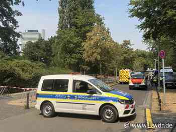 Panzerfaust in Bonner Rheinaue gefunden