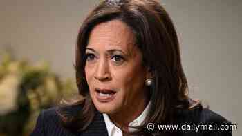 Humiliation for Kamala Harris as rising star Democrat REJECTS failed presidential candidate's endorsement in upcoming election