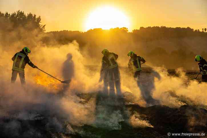 Feldbrand im Erzgebirge: Feuerwehrleute üben für Fall, der immer häufiger vorkommt