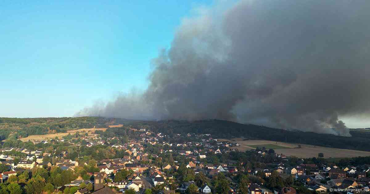 Immer mehr Waldbrände - Experte: Deutschland nur bedingt vorbereitet