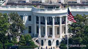 Deputy national security adviser Andy Baker to leave White House: Report