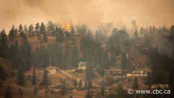 Homes across B.C. have been decimated by wildfires. Here's what to know about your insurance