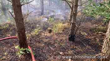 Residents urged to avoid area as firefighters tackle North East woodland blaze