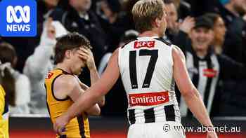 Last-ditch spoil leads to second Hawks-Pies draw, Demon facing ban over hit