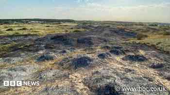 Trust surveys scorched habitats after dunes fire