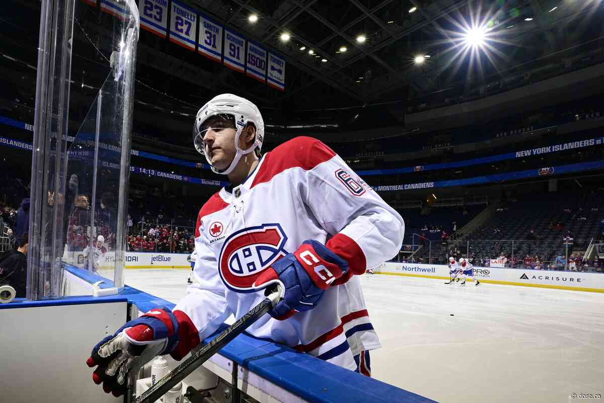 CH Prospects: David Reinbacher Ranks First Ahead of Hage, According to NHL.com